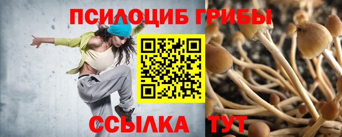 Амурск  Псилоцибиновые грибы Psilocybe  Псилоцибиновые грибы Magic Shrooms  наркота  Вход с VPN 